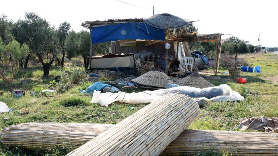 TDK, bazı sözcüklerin yazımını değiştirdi: Artık böyle yazılacak! Editörleri yakından ilgilendiriyor 13